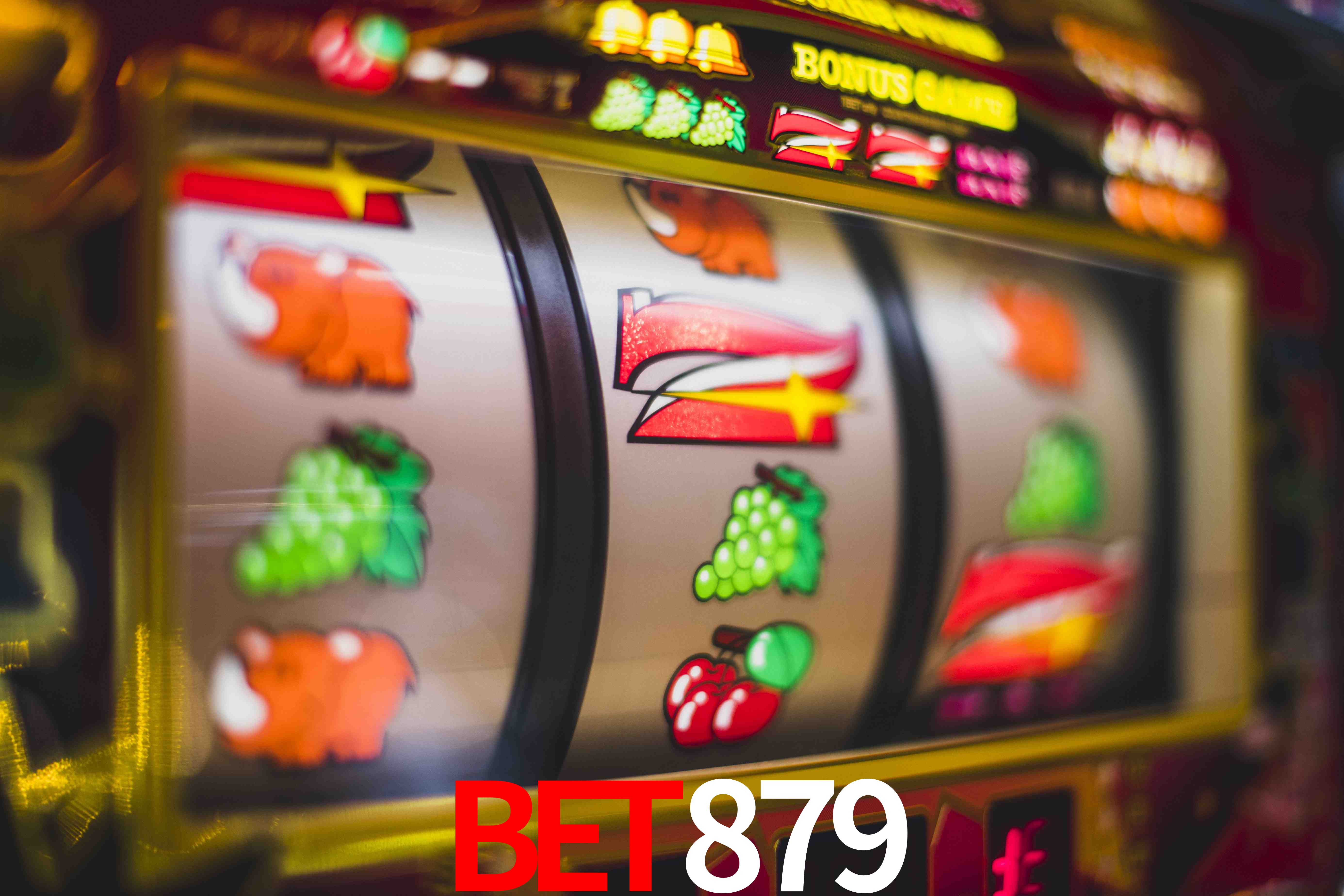 VIP Casino bet879